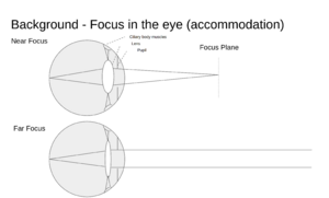 Eye accommodation illustration.png