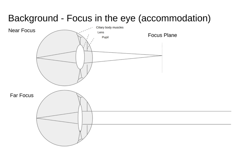 File:Eye accommodation illustration.png