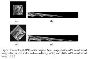 Adaptive polar transform fig5.png